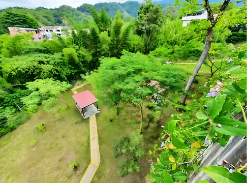 Parque y vegetación del entorno de Vizta