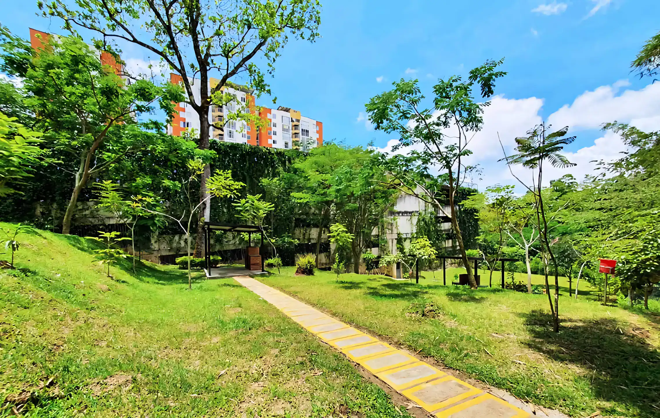 Camino entre árboles y jardines